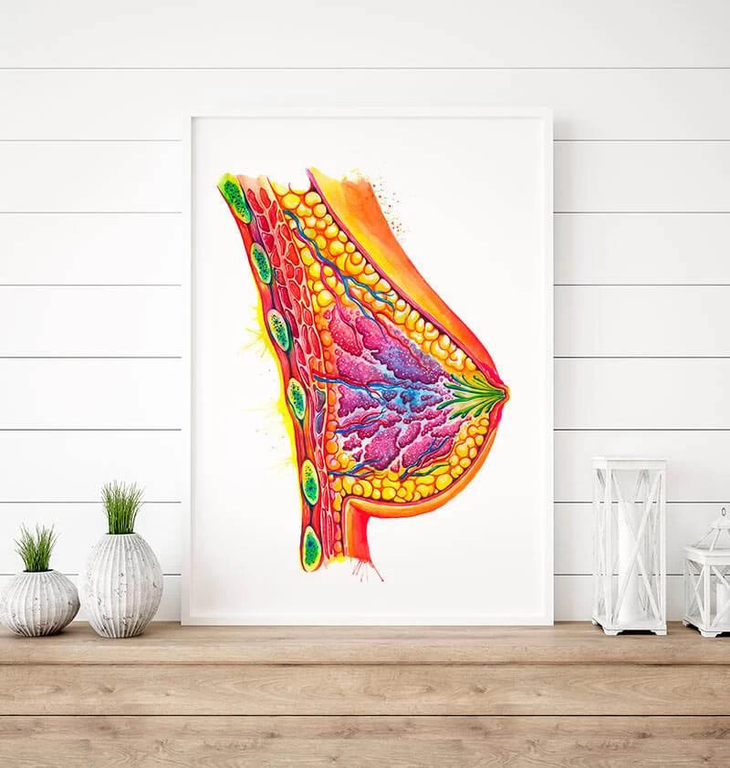 Breast Anatomy Art - Watercolor Splash 4 Breast Anatomy Art - Watercolor Splash - Image 2