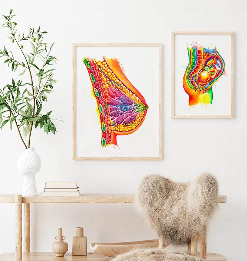 Breast Anatomy Art - Watercolor Splash 5 Breast Anatomy Art - Watercolor Splash - Image 3