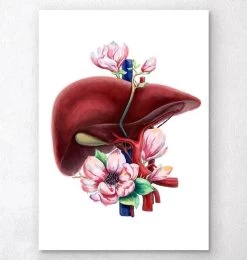 Liver Anatomy - Floral - White