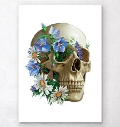 Skull Anatomy - Floral - White