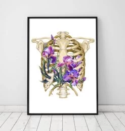Rib Cage Anatomy - Floral - White -Codex Anatomicus Shop LPA191 c45a7e22 a70f 4d4b a45f 115c4e07536c