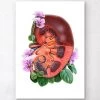 Kidney Anatomy - Floral - White