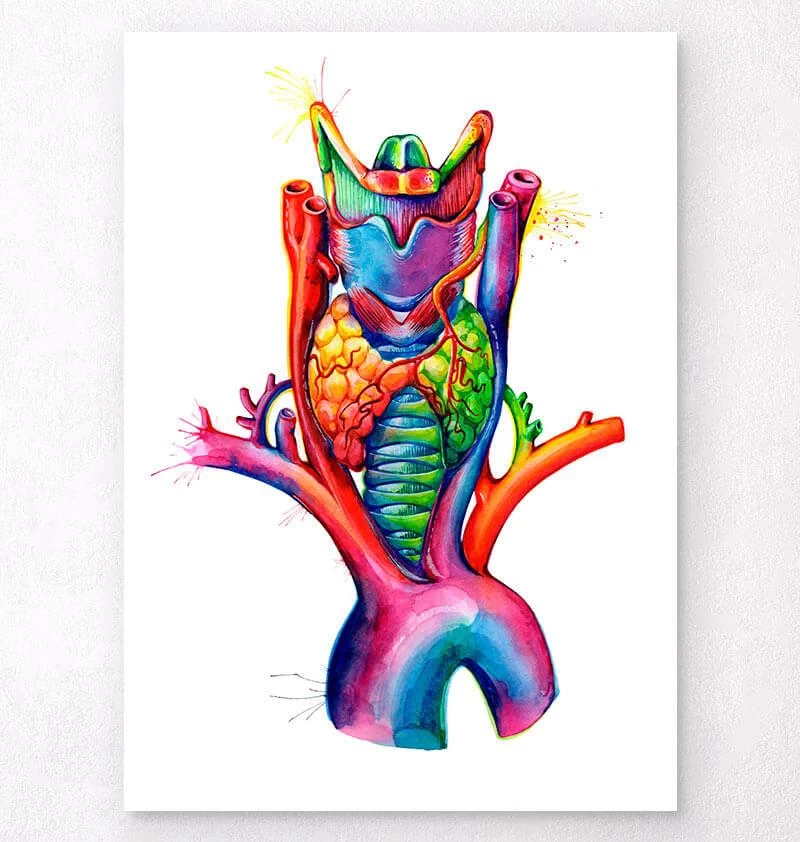 Larynx, Thyroid And Aorta - Watercolor Splash Anatomy Art 3 Larynx, Thyroid And Aorta - Watercolor Splash Anatomy Art
