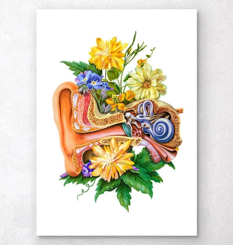 Ear Anatomy - Floral - White 3 Ear Anatomy - Floral - White
