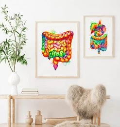 Intestines Anatomy Art - Watercolor Splash -Codex Anatomicus Shop LPA300 2