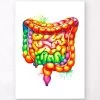 Intestines Anatomy Art - Watercolor Splash