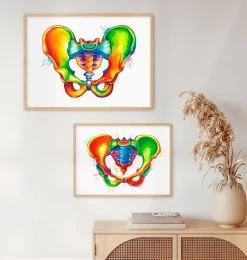 Male Pelvis Anatomy - Watercolor Splash -Codex Anatomicus Shop LPA301 2
