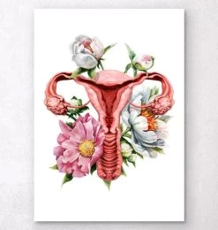 Uterus Anatomy - Floral - White
