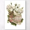 Dental Anatomy - Floral -Codex Anatomicus Shop LPA305