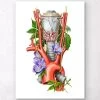 Larynx, Thyroid And Aorta - Watercolor - White -Codex Anatomicus Shop LPA307