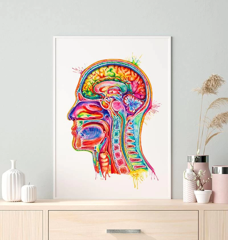 Head Section Anatomy Art - Watercolor Splash 4 Head Section Anatomy Art - Watercolor Splash - Image 2