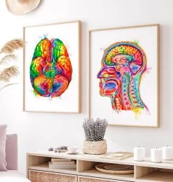 Head Section Anatomy Art - Watercolor Splash 7 Head Section Anatomy Art - Watercolor Splash -Codex Anatomicus Shop LPA310 2