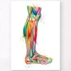 Leg Anatomy - Watercolor Splash -Codex Anatomicus Shop LPA312