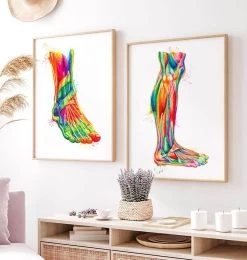 Leg Anatomy - Watercolor Splash 7 Leg Anatomy - Watercolor Splash -Codex Anatomicus Shop LPA312 2