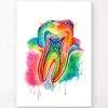 Tooth Anatomy Art - Watercolor Splash -Codex Anatomicus Shop LPA313