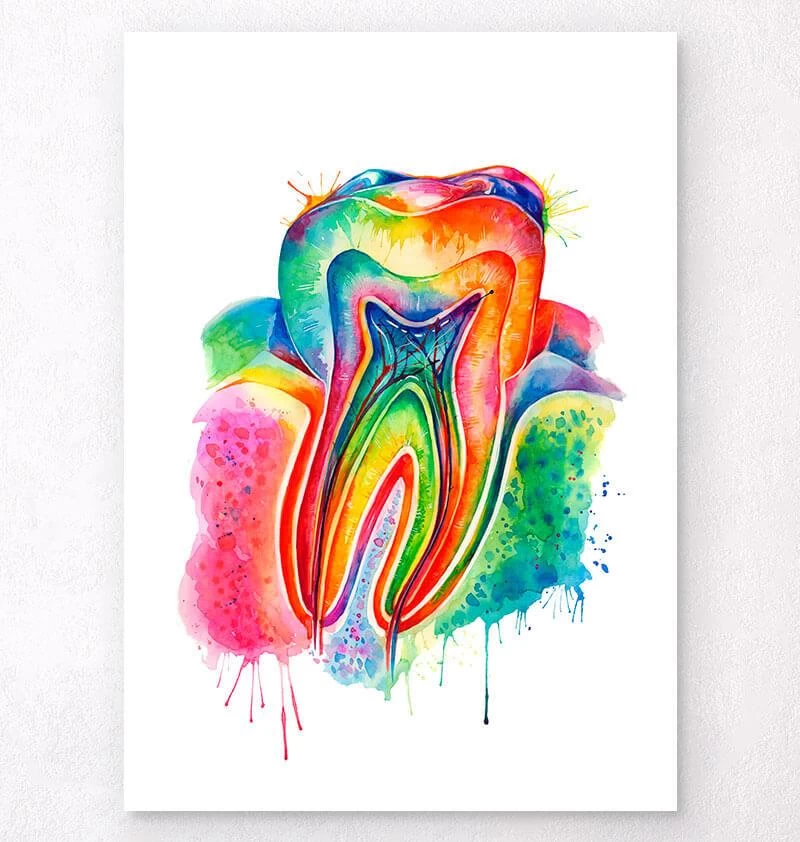 Tooth Anatomy Art - Watercolor Splash 3 Tooth Anatomy Art - Watercolor Splash