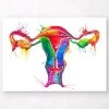 Uterus Anatomy Art - Watercolor Splash