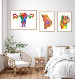 Uterus Anatomy Art - Watercolor Splash 7 Uterus Anatomy Art - Watercolor Splash -Codex Anatomicus Shop LPA315 2