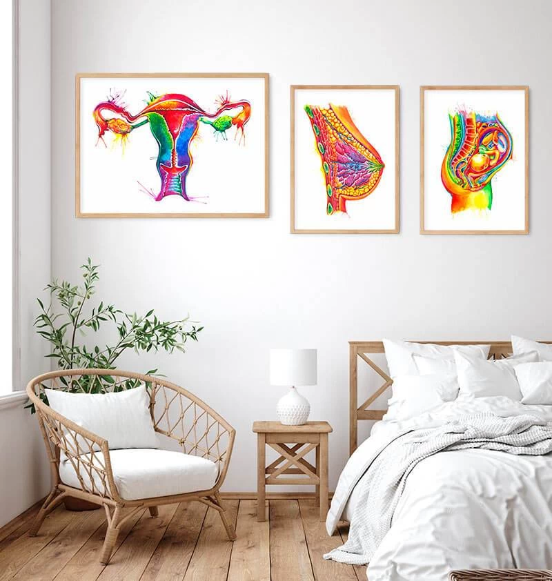 Uterus Anatomy Art - Watercolor Splash 5 Uterus Anatomy Art - Watercolor Splash - Image 3