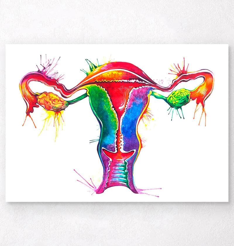 Uterus Anatomy Art - Watercolor Splash 3 Uterus Anatomy Art - Watercolor Splash