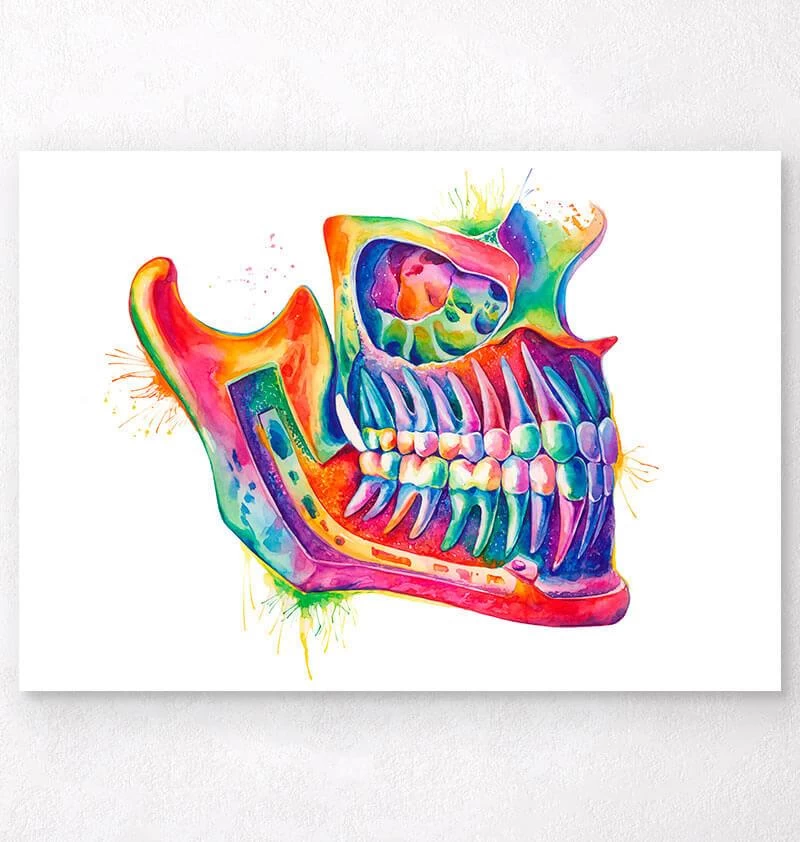 Jaw Dental Anatomy Art - Watercolor Splash 3 Jaw Dental Anatomy Art - Watercolor Splash