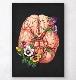 Brain Anatomy - Floral - Black