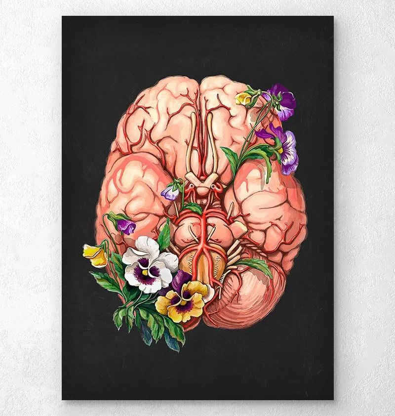 Brain Anatomy - Floral - Black 3 Brain Anatomy - Floral - Black
