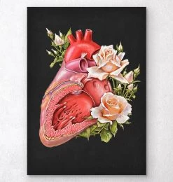 Heart Anatomy - Floral - Black