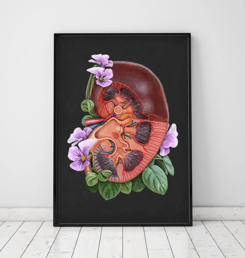 Kidney Anatomy - Floral - Black 4 Kidney Anatomy - Floral - Black - Image 2