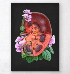 Kidney Anatomy - Floral - Black