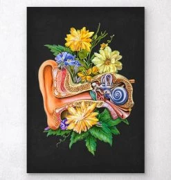 Ear Anatomy - Floral - Black
