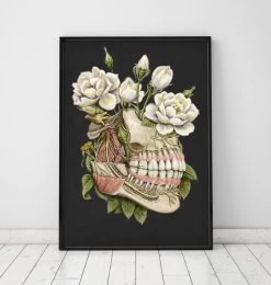 Dental Anatomy - Floral - Black -Codex Anatomicus Shop LPA327 7df0d606 42b5 442e 993d 9863cdd998e2