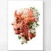 Head, Brain And Arteries Anatomy - Floral - White -Codex Anatomicus Shop LPA340