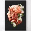 Head, Brain And Arteries Anatomy - Floral - Black -Codex Anatomicus Shop LPA341 bb858ca7 4bd5 4fda 93cb 4f6fe3230802