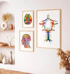 Circle Of Willis - Watercolor Splash -Codex Anatomicus Shop LPA344 2