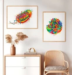 Bacteria Structure - Watercolor Splash -Codex Anatomicus Shop LPA346 2