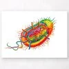 Bacteria Structure - Watercolor Splash -Codex Anatomicus Shop LPA346 0b1969a1 e4f0 4aa5 ae95 71c103f624df