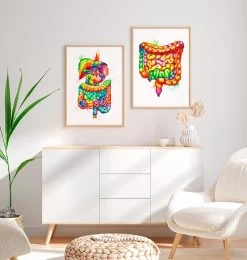 Digestive System Anatomy Art - Watercolor Splash -Codex Anatomicus Shop LPA347 2