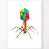 Bacteriophage - Watercolor Splash 1 Bacteriophage - Watercolor Splash -Codex Anatomicus Shop LPA348 c788a9dc 5db3 4f21 ae4e c56becd213eb