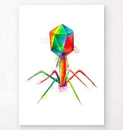 Bacteriophage - Watercolor Splash