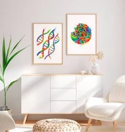 DNA Structure - Watercolor Splash -Codex Anatomicus Shop LPA349 2