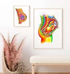 Fetus In Utero Anatomy - Watercolor Splash -Codex Anatomicus Shop LPA353 2