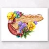 Pancreas Anatomy - Floral - White -Codex Anatomicus Shop LPA354