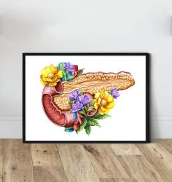 Pancreas Anatomy - Floral - White -Codex Anatomicus Shop LPA354 b9c115c0 23ad 40a7 82b8 a12dd8594b48