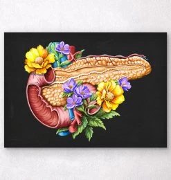 Pancreas Anatomy - Floral - Black