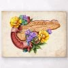 Pancreas Anatomy - Floral - Vintage -Codex Anatomicus Shop LPA356