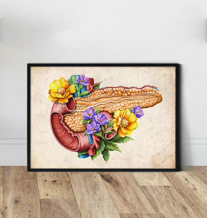 Pancreas Anatomy - Floral - Vintage 4 Pancreas Anatomy - Floral - Vintage - Image 2