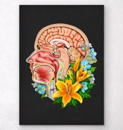 Head Section Anatomy - Floral - Black