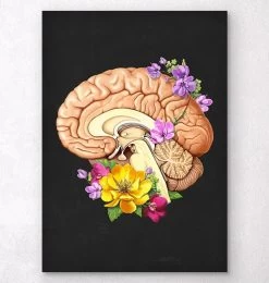Brain Anatomy II - Floral - Black