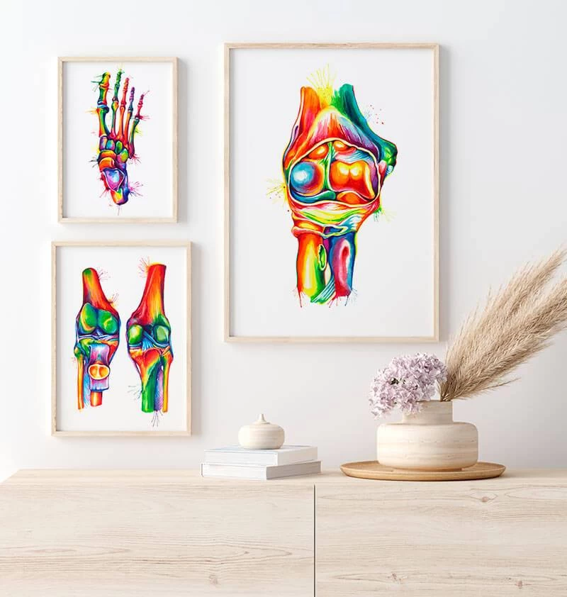 Elbow Anatomy - Watercolor Splash 5 Elbow Anatomy - Watercolor Splash - Image 3